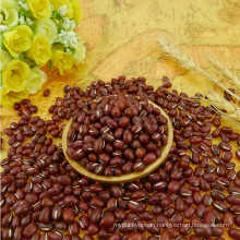 well choose small red bean with competitive price